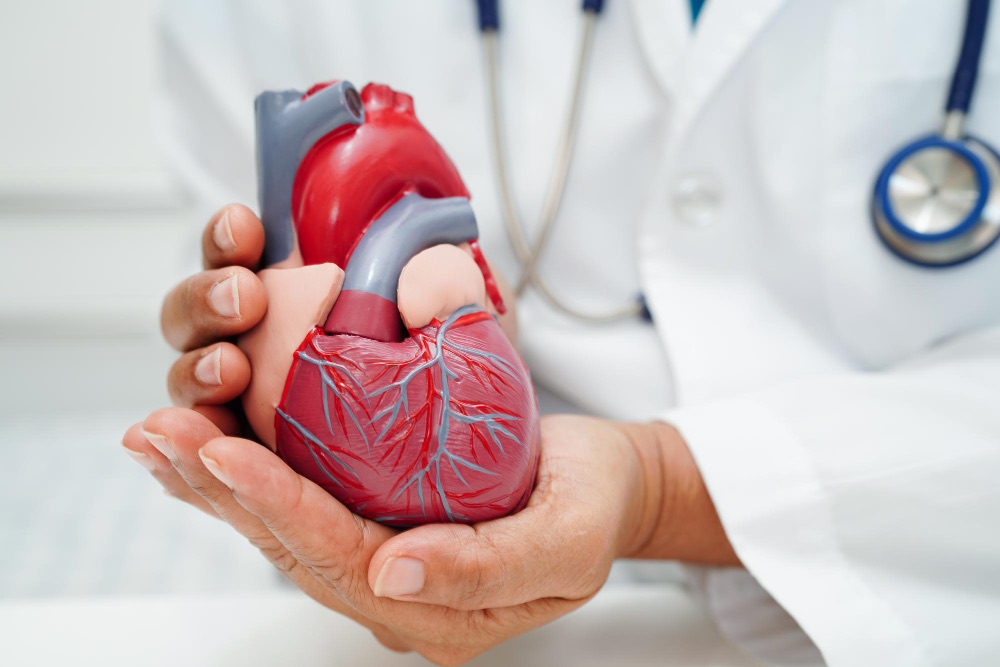 Dra Symone Schaefer - Consulta com cardiologista para idosos em São Paulo