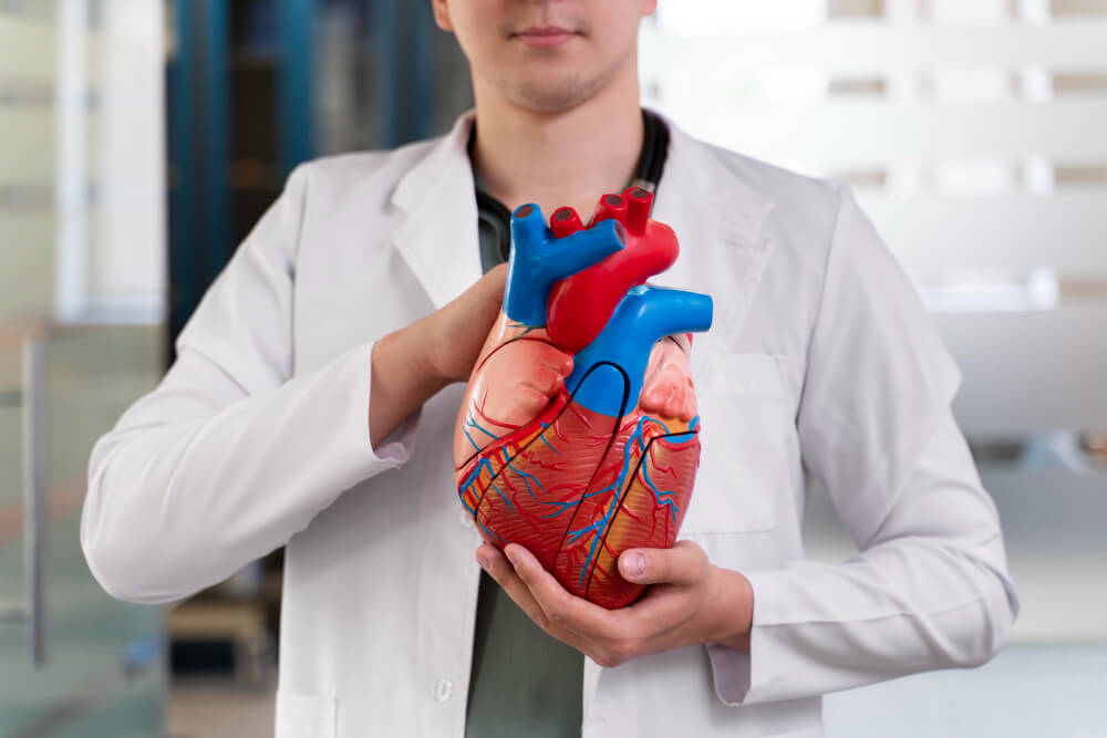 Dra Symone Schaefer - Consulta Particular com Cardiologista em Santana