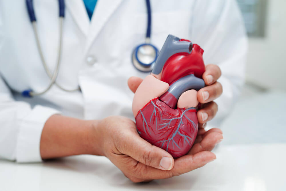 Dra Symone Schaefer - Cardiologista para Tratamento de Colesterol Alto SP