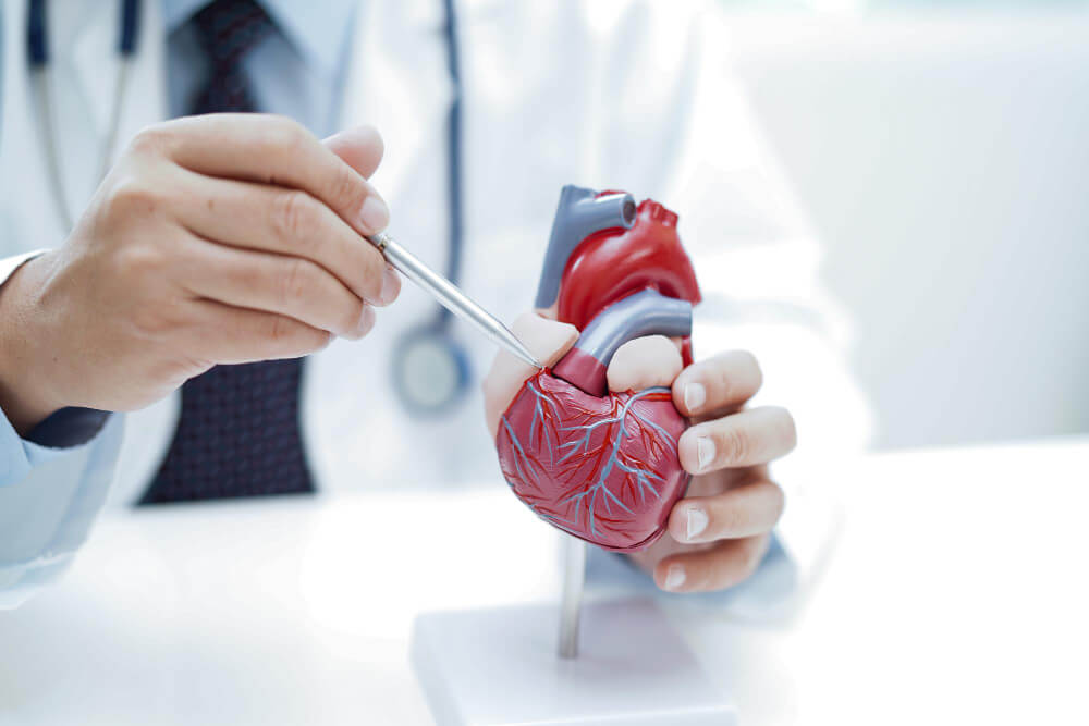 Dra Symone Schaefer - Médico Cardiologista para Check-up Anual em São Paulo